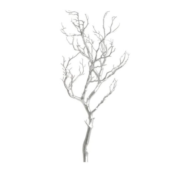 BRANCH, SILVER