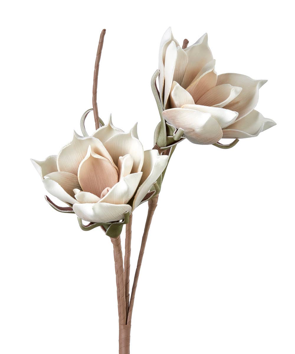 MAGNOLIA BRANCH - WHITE/LIGHT BROWN