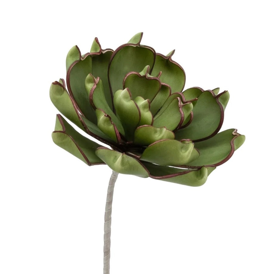 leafy green succulent FLORAL STEM