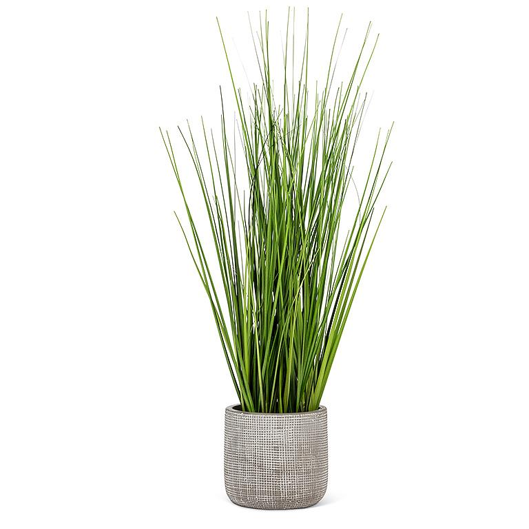 GRASS IN A GREY POT - TALL