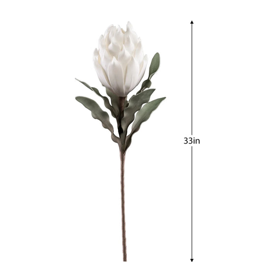 FLORAL STEM, PROTEA -WHITE