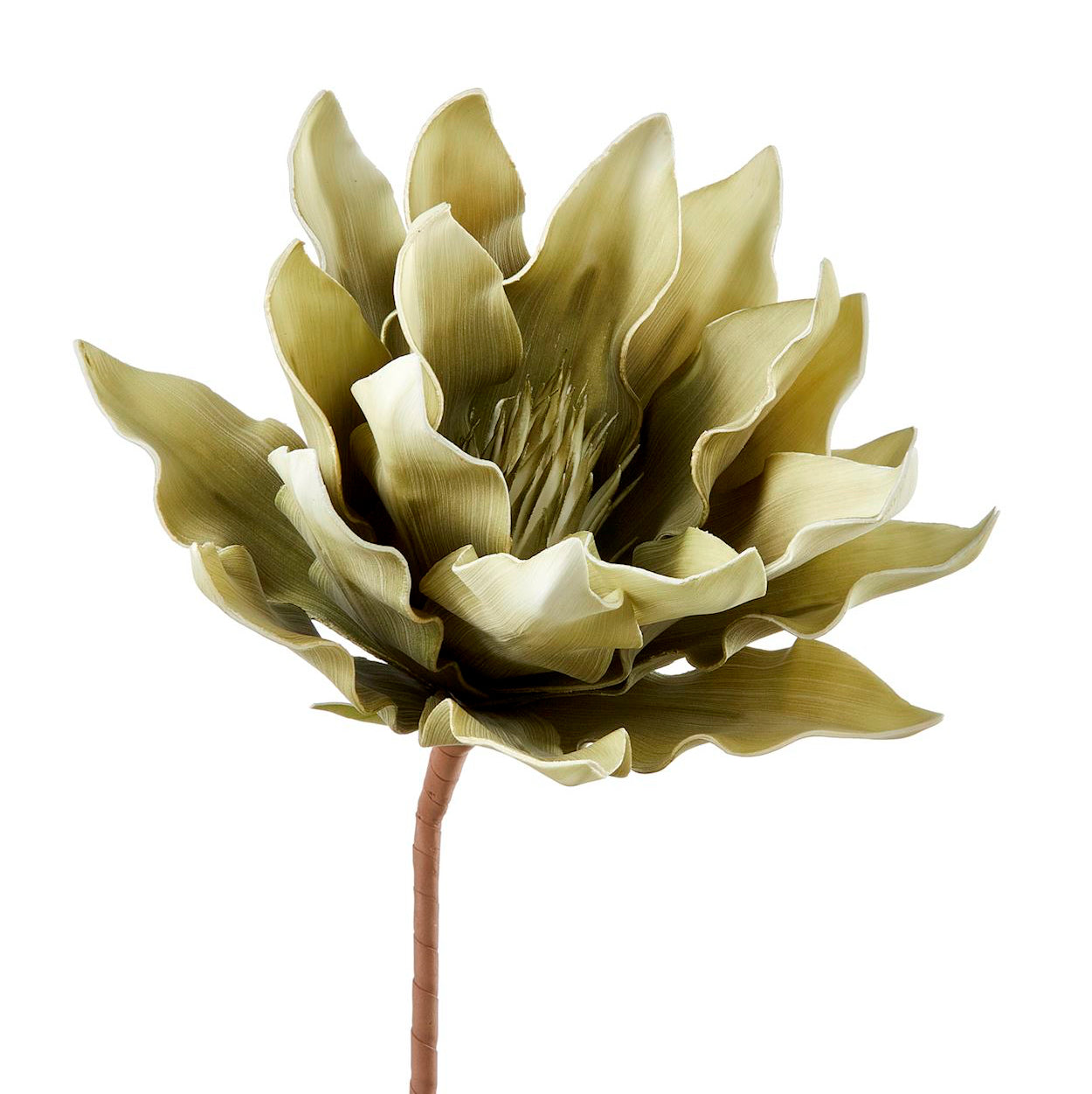 ARTICHOKE STEM, CREAM&GREEN