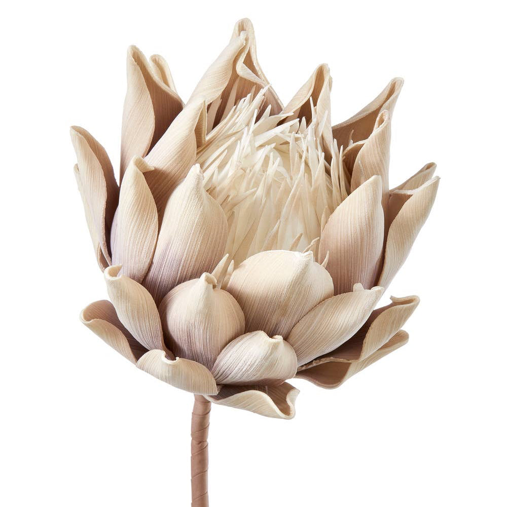 ARTICHOKE STEM, CREAM/PURPLE