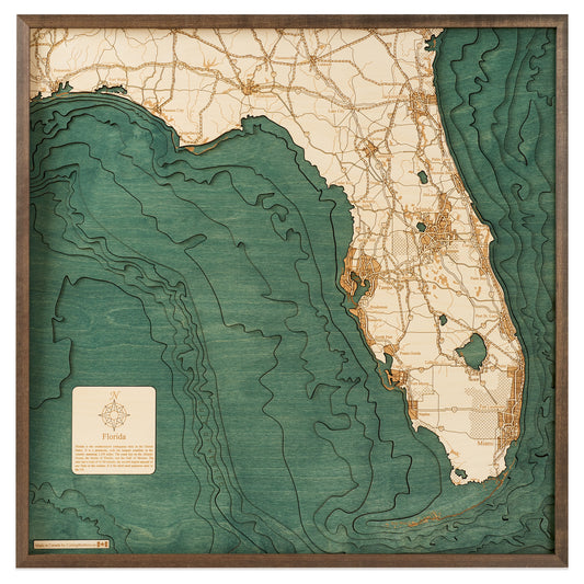 MAP, FRAMED - FLORIDA