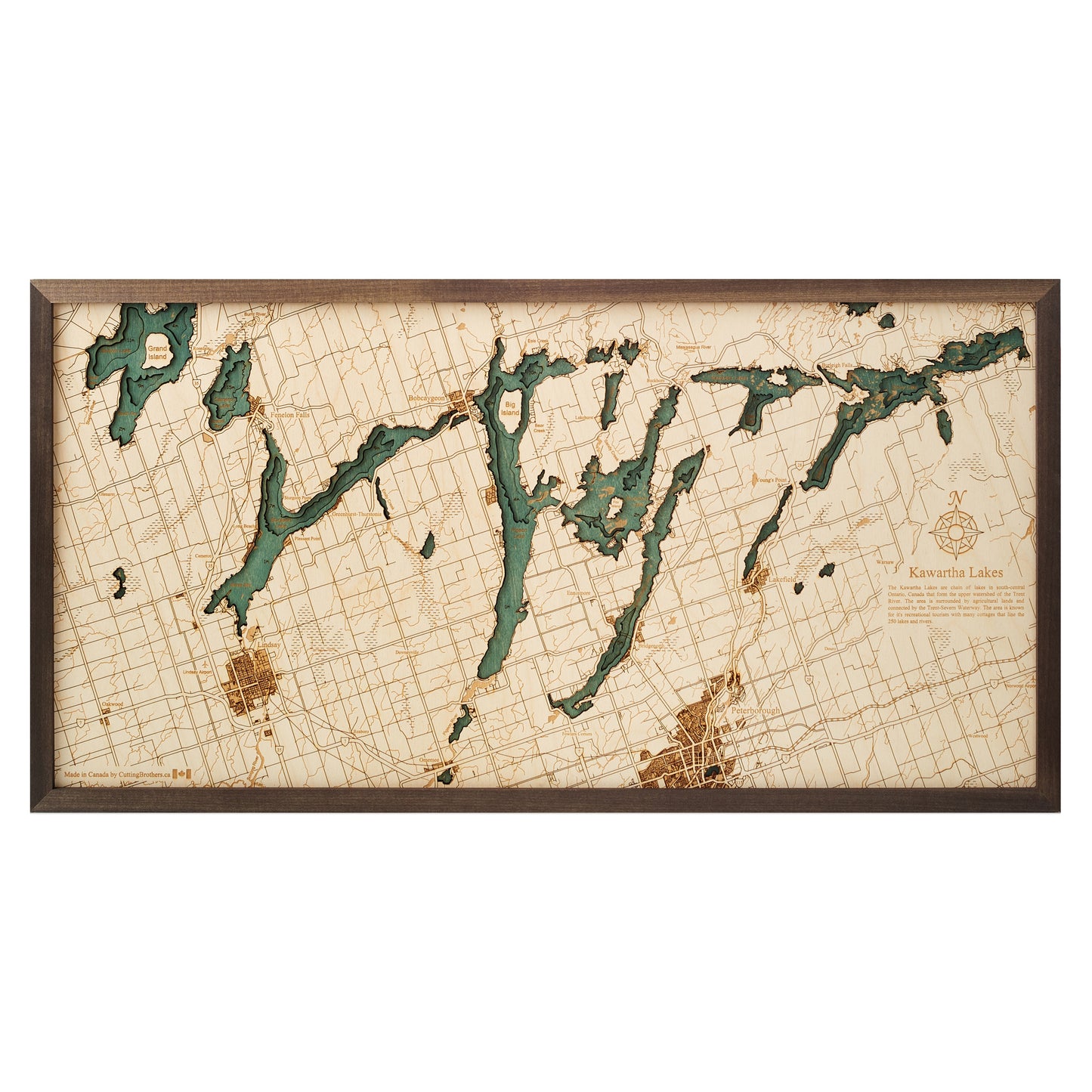 MAP, FRAMED - KAWARTHA LAKES (L)