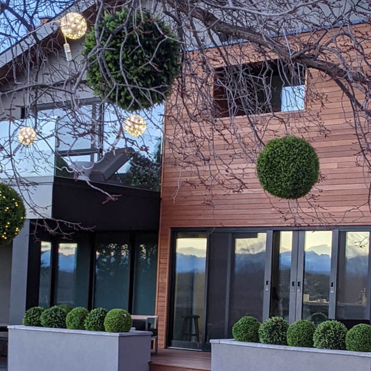 BOXWOOD SPHERE - LARGE (16")