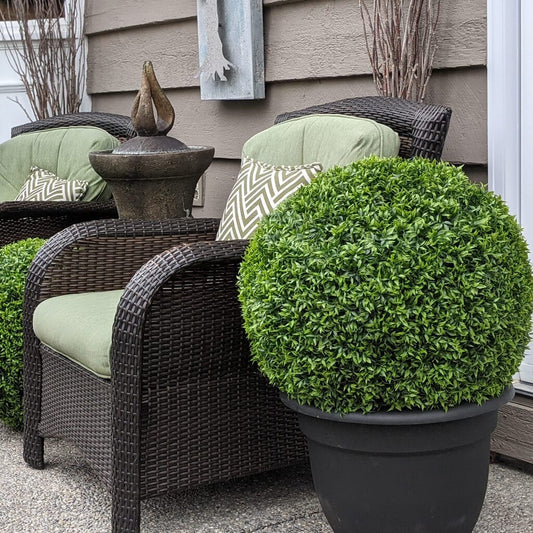 BOXWOOD SPHERE - XL (23")