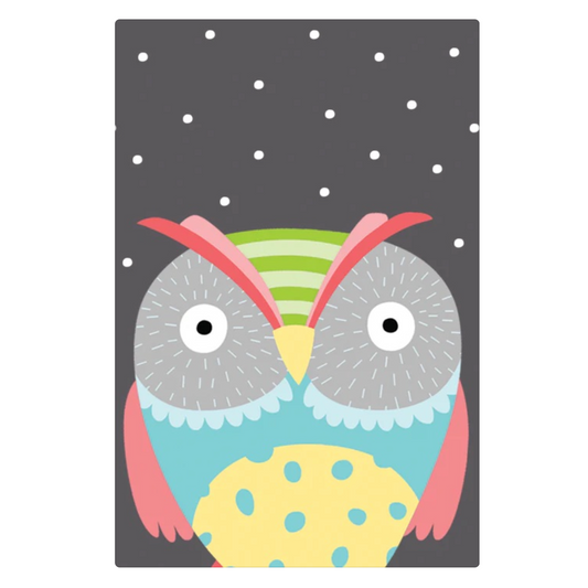 SMART CLOTH - OWL (NEW)