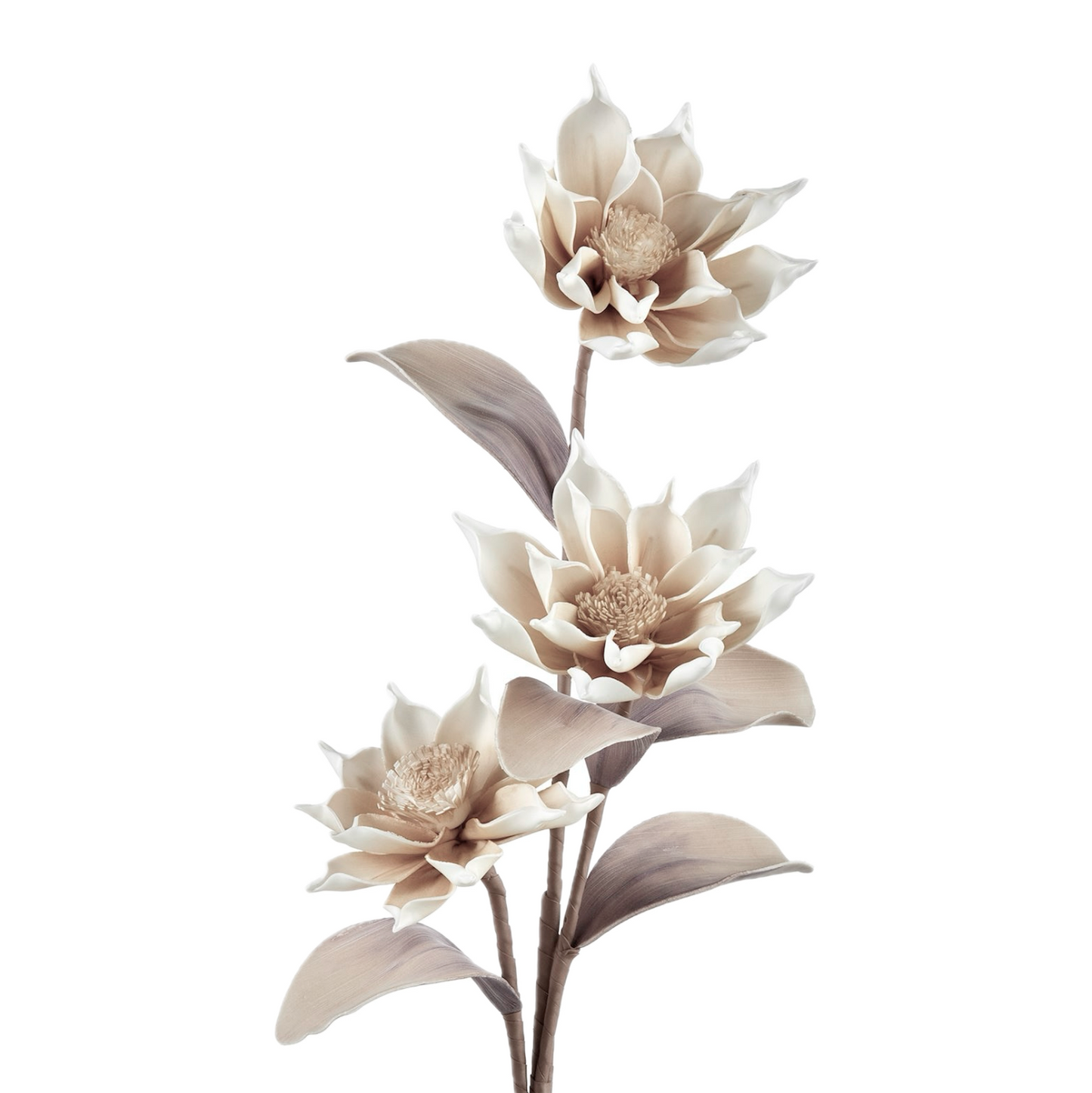 STAR FLOWER STEM - CREAM