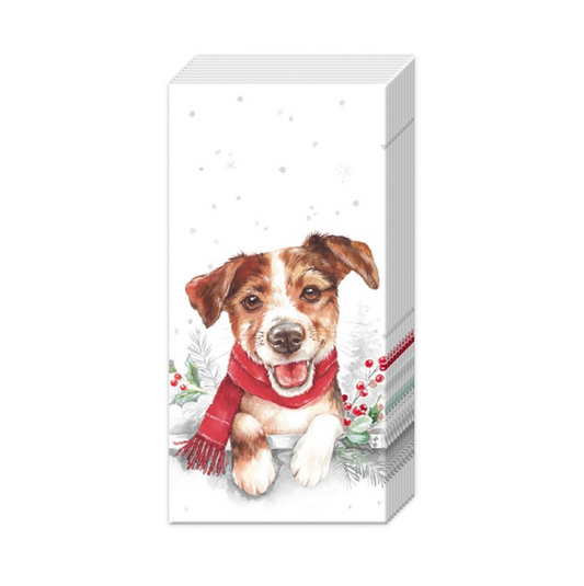 POCKET TISSUES - DOG & CAT