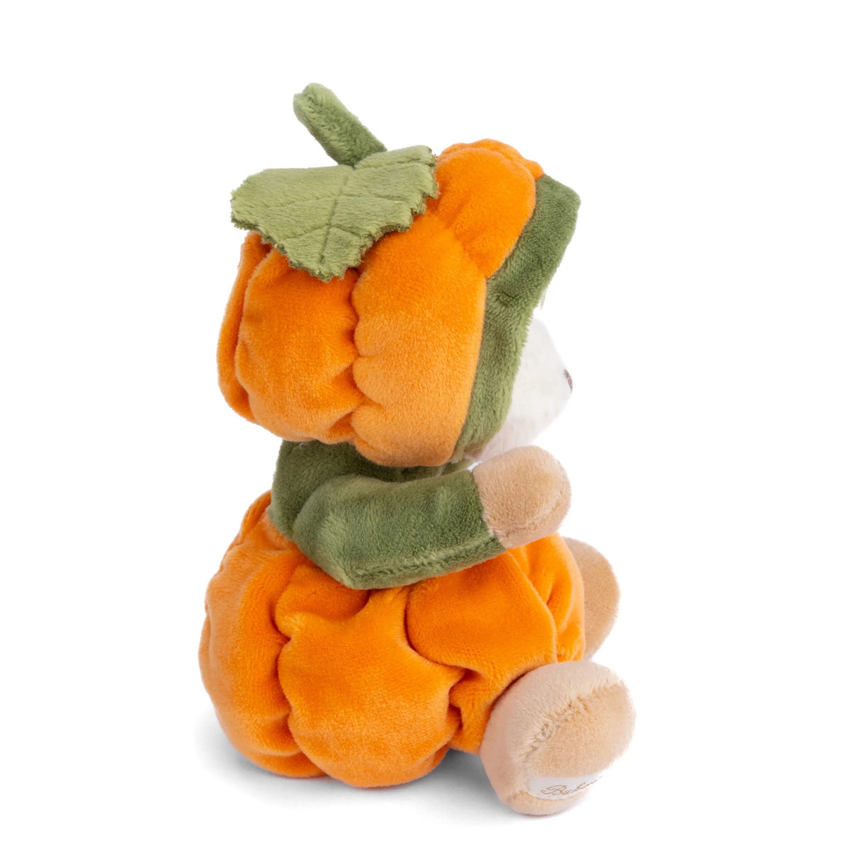 BUKOWSKI BEARS - ZIGGY PUMPKIN