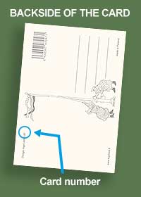 POSTCARD (4" x 6") - AUNTIES NR 73