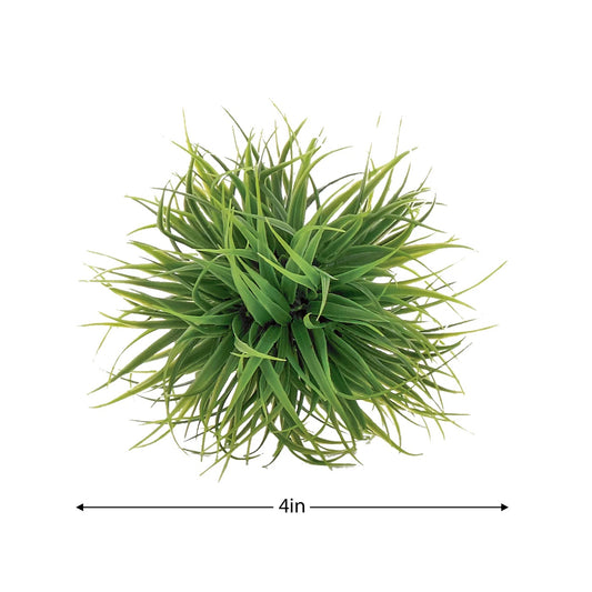 DECORATION, GRASS BALL