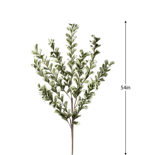 FLORAL STEM - EUCALYPTUS