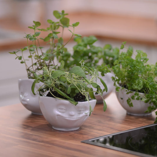 BOWL - GRINNING, 500ml