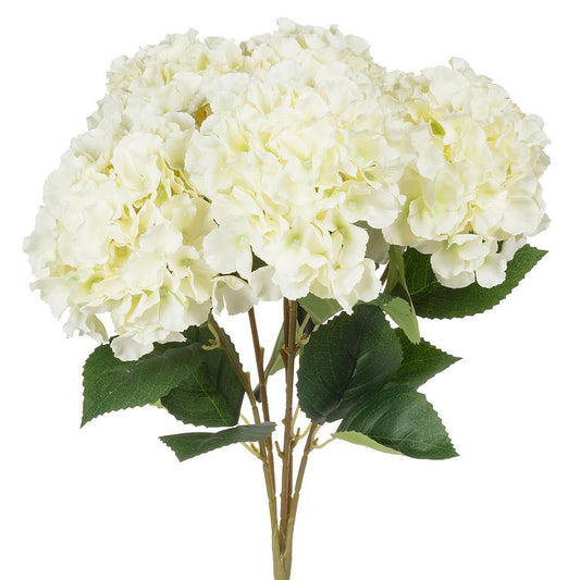 HYDRANGEA BOUQUET - WHITE