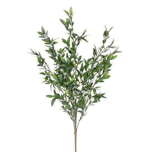 LEAFY GREEN STEM, LONG