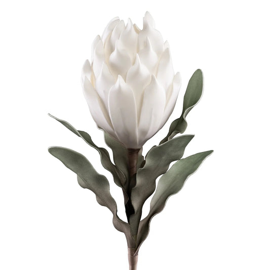 FLORAL STEM, PROTEA -WHITE