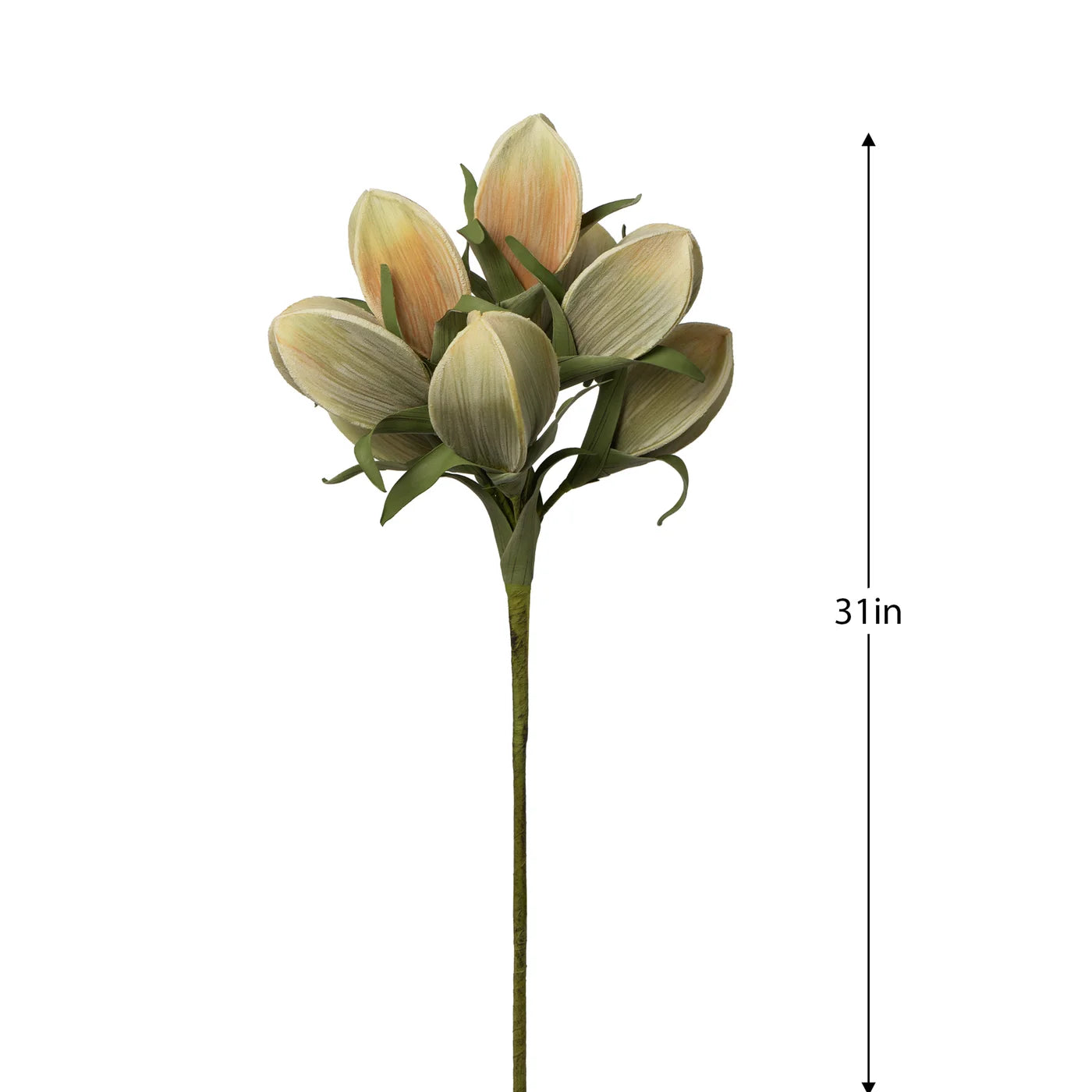 FLORAL STEM - MULTI POD BOUQUET