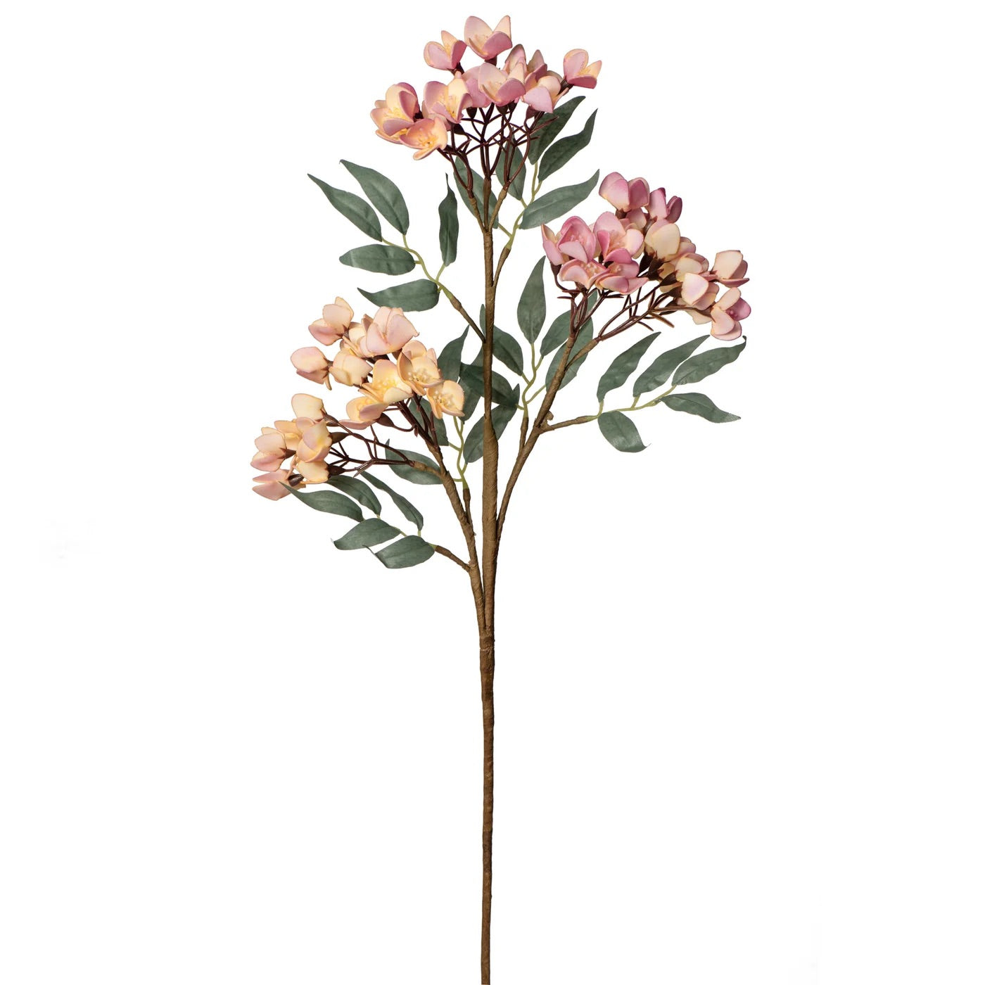 FLORAL STEM - CHERRY BLOSSOM PINK