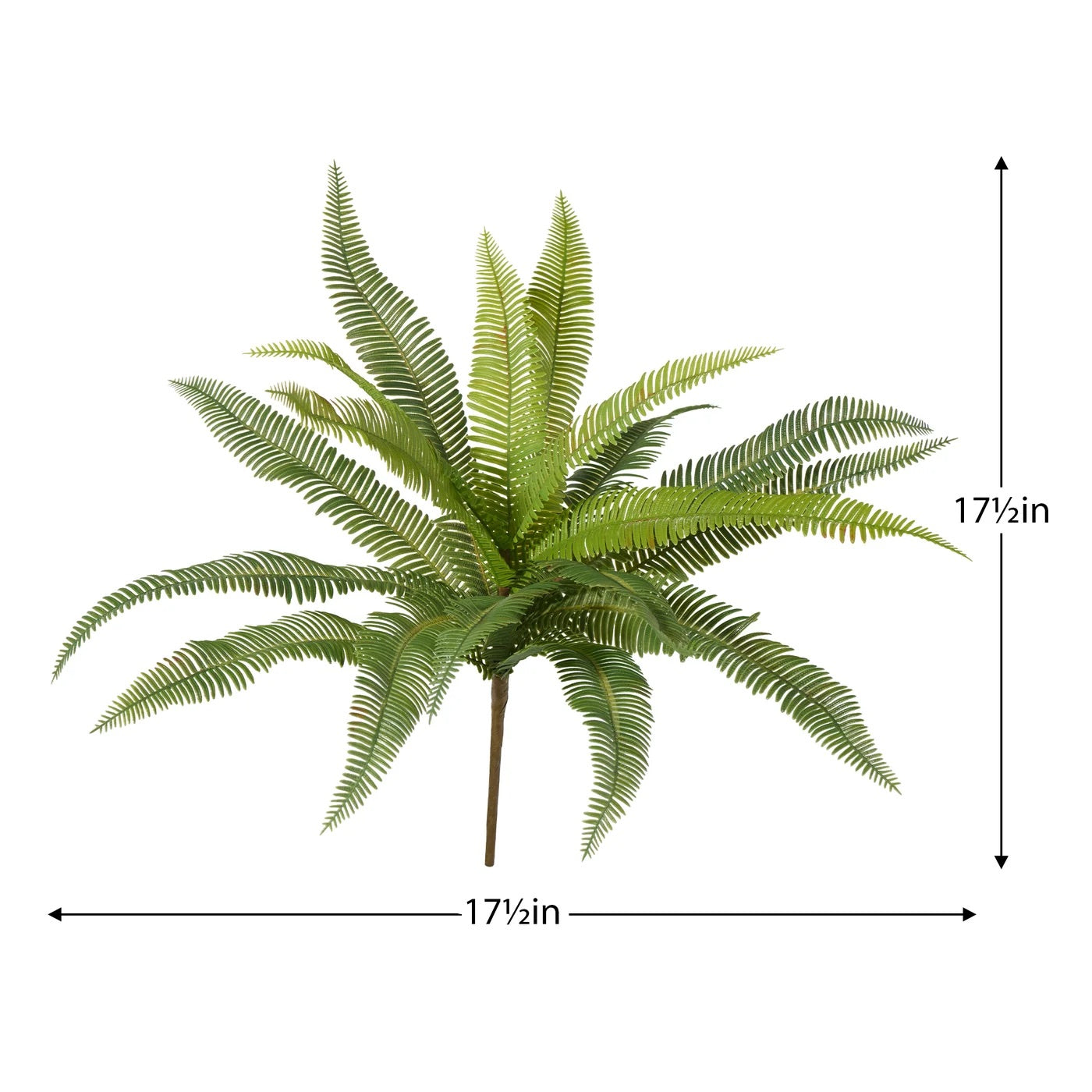 STEM, FERN BUSH - GREEN