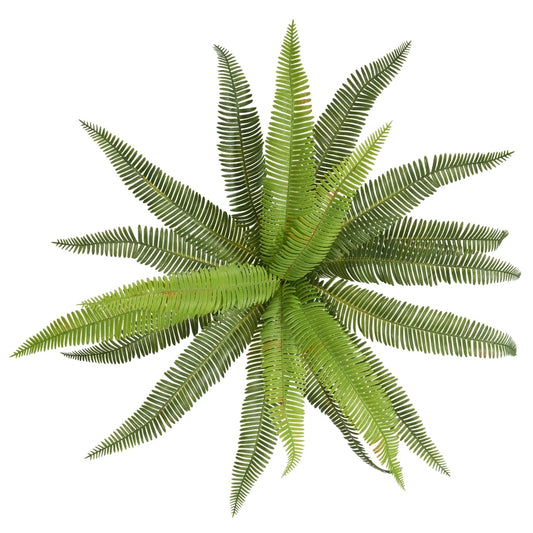 STEM, FERN BUSH - GREEN