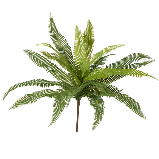 STEM, FERN BUSH - GREEN
