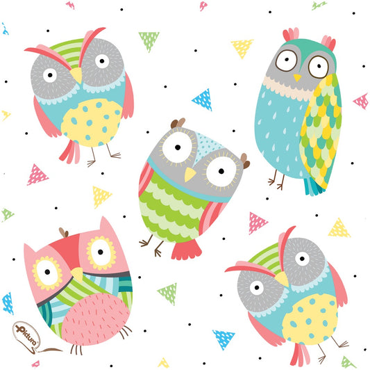 SMART CLOTH - OWL (NEW)