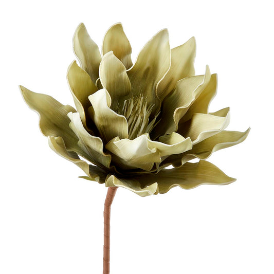 ARTICHOKE STEM, CREAM&GREEN