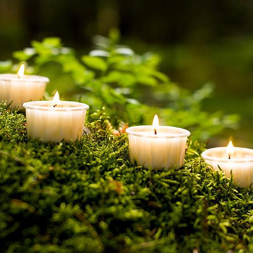 TEALIGHT, NATURAL WAX - WHITE, 12PACK