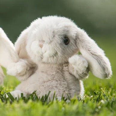 BUKOWSKI BEARS - KANINI, LIGHT GREY