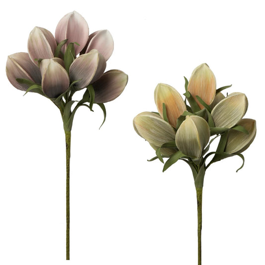 FLORAL STEM - MULTI POD BOUQUET