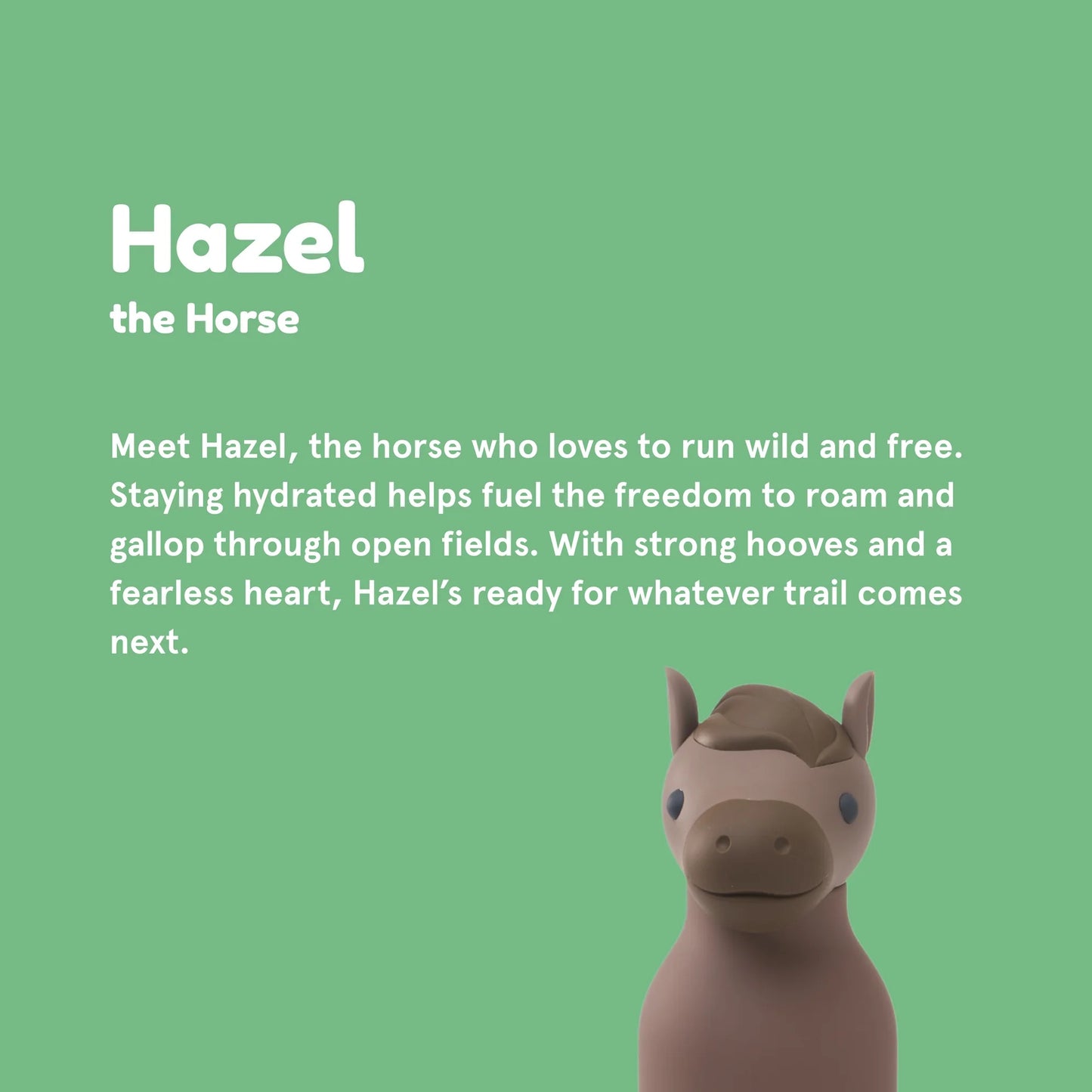 BESTIE WATER BOTTLE - HORSE