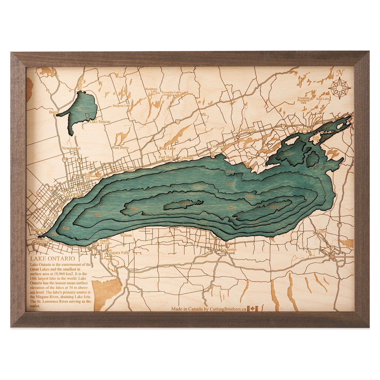 MAP, FRAMED - LAKE ONTARIO (S)