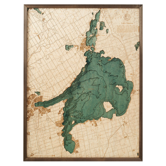 MAP, FRAMED - LAKE SIMCOE (L)
