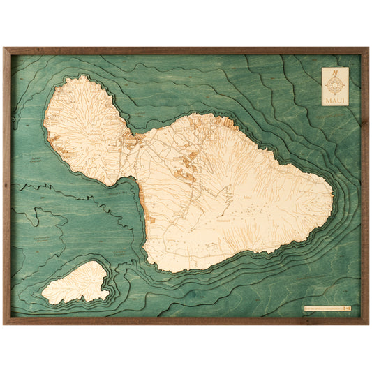MAP, FRAMED - MAUI