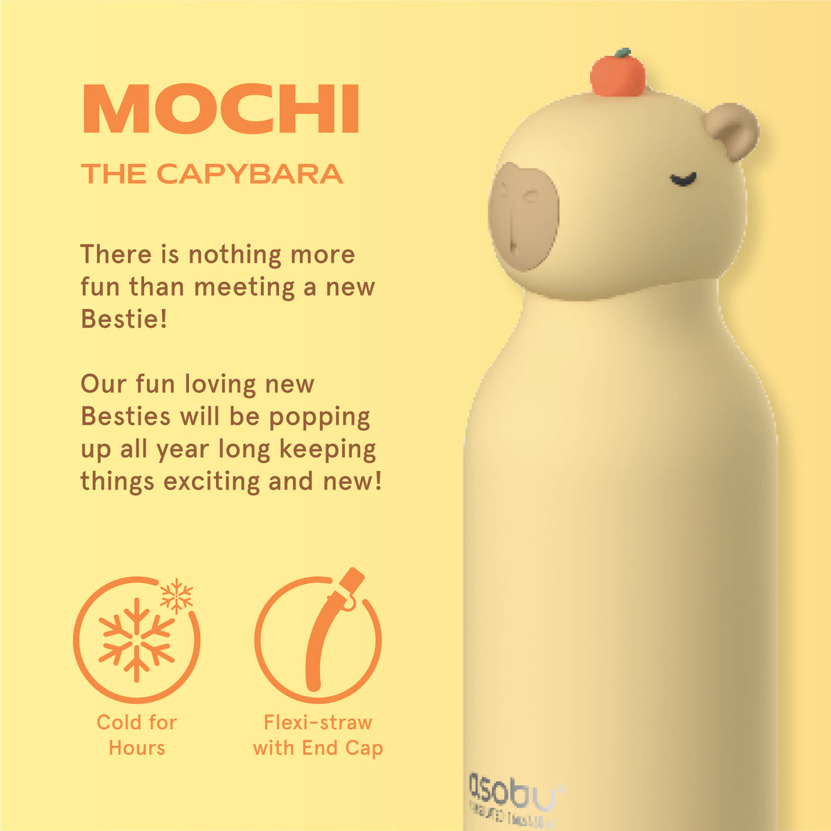 BESTIE WATER BOTTLE - CAPYBARA