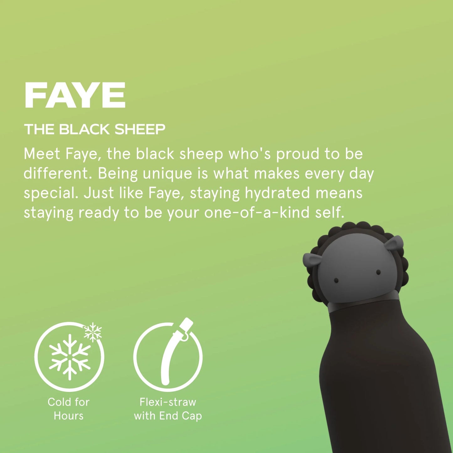 BESTIE WATER BOTTLE - BLACK SHEEP