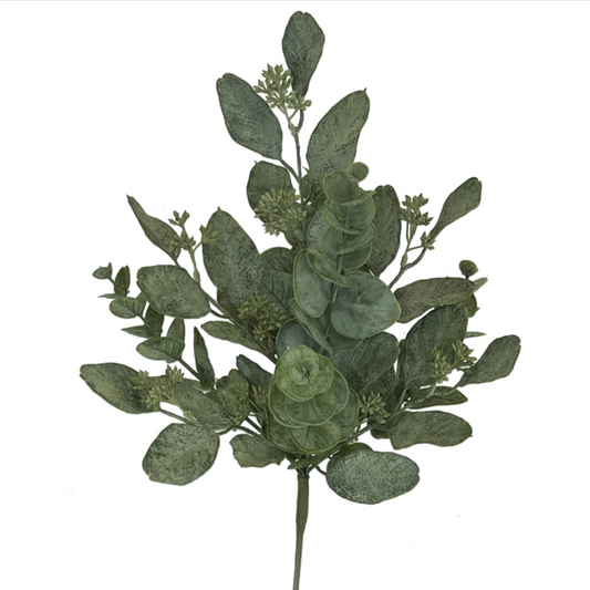 EUCALYPTUS BUSH - LEAF