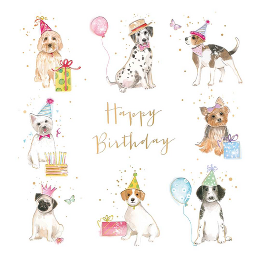 GREETING CARD - BIRTHDAY, DOG