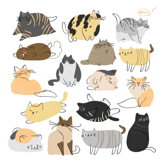 SMART CLOTH - CUTIE CATS