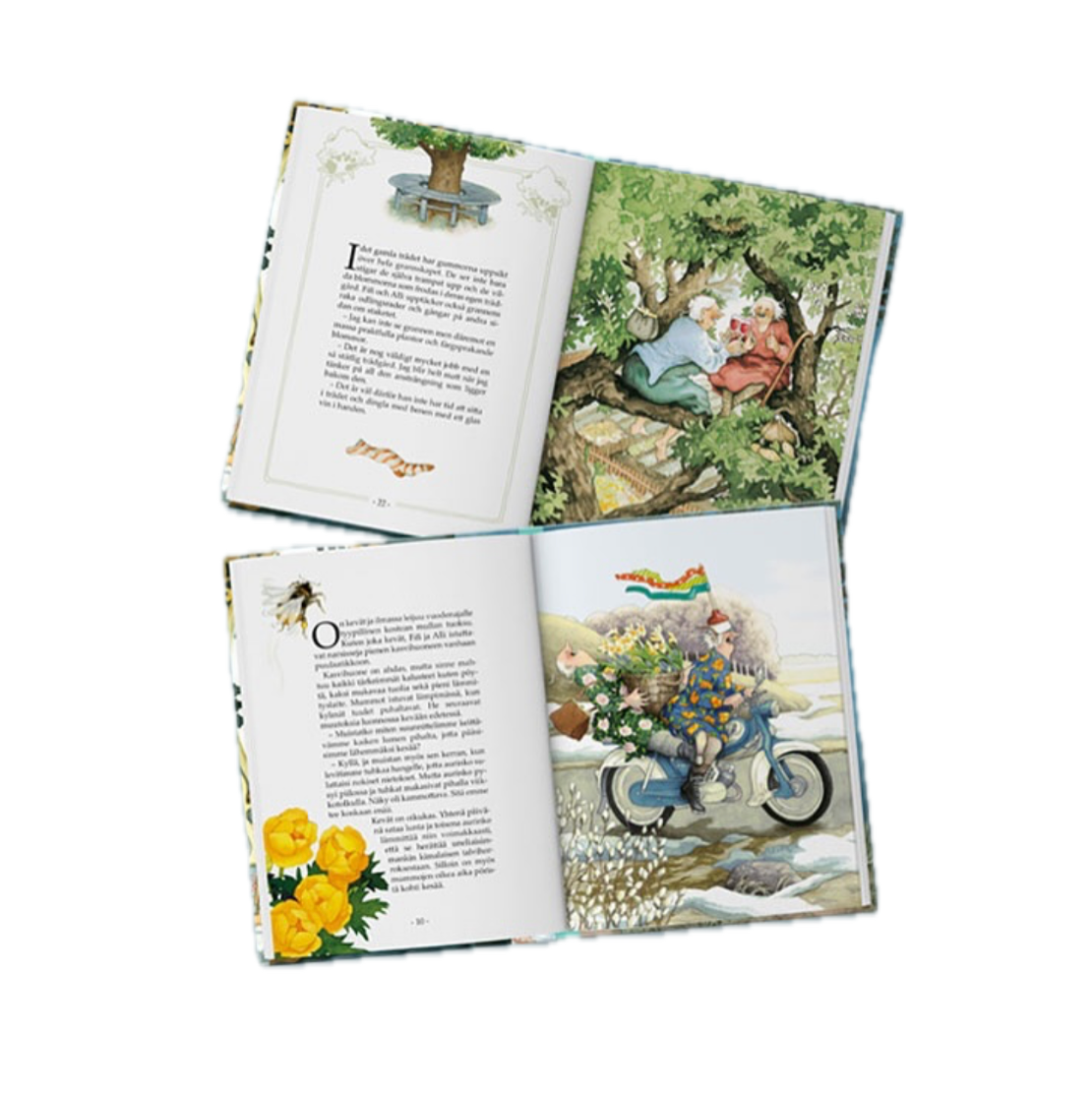 STORY OF AUNTIES - LOVING LIFE