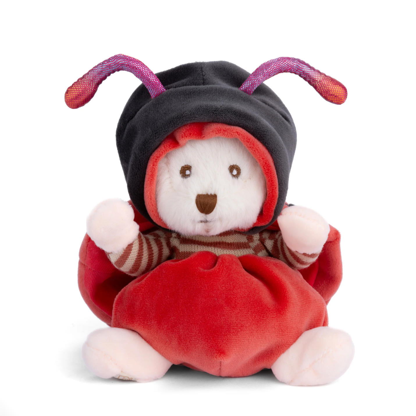 BUKOWSKI BEARS - ZIGGY LADYBUG