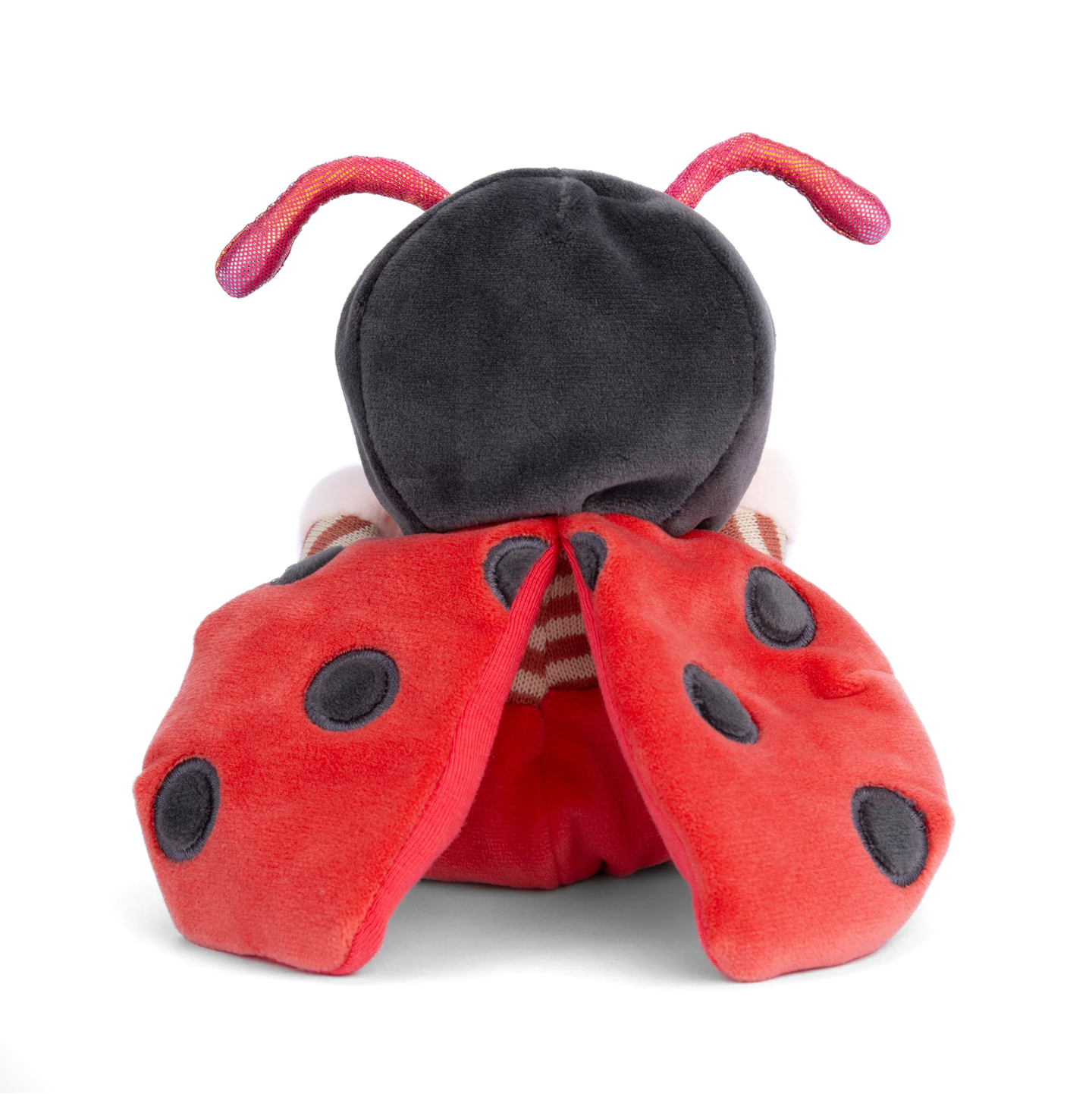 BUKOWSKI BEARS - ZIGGY LADYBUG