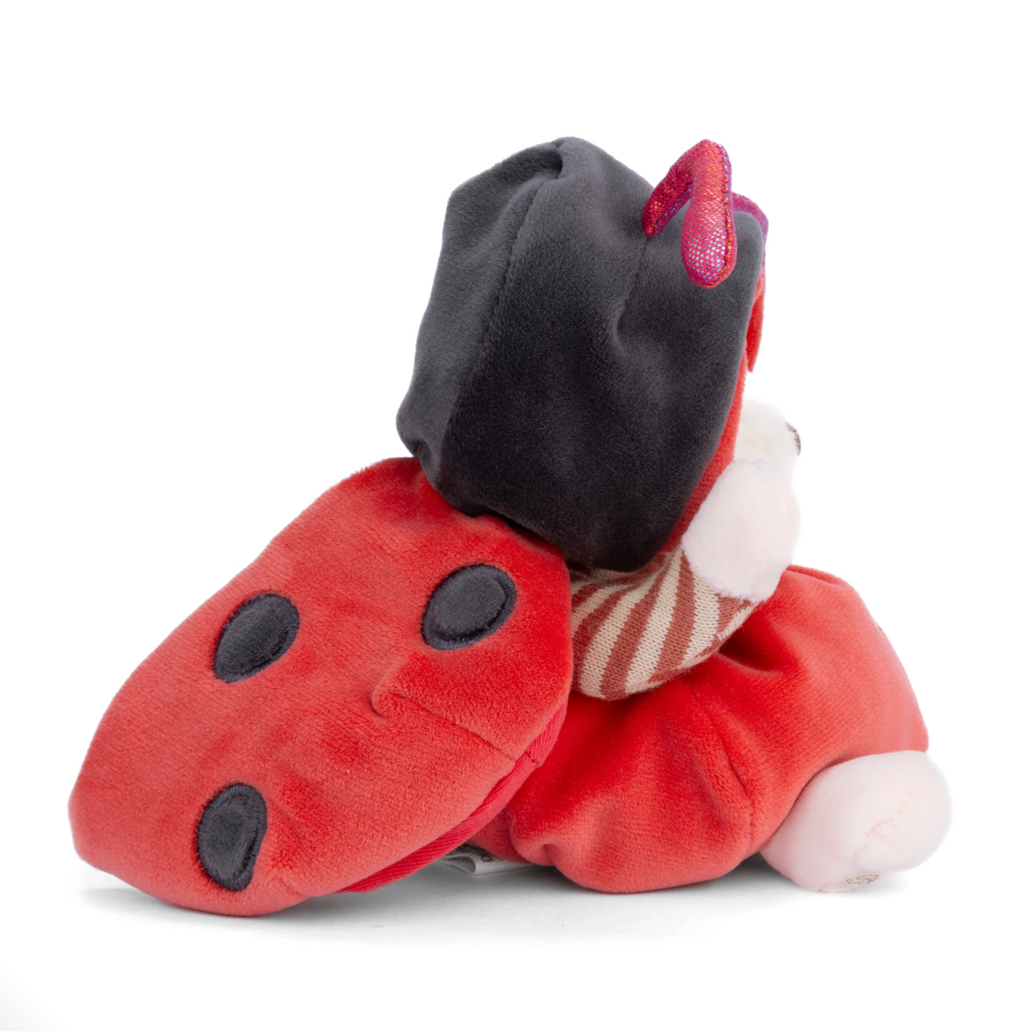 BUKOWSKI BEARS - ZIGGY LADYBUG