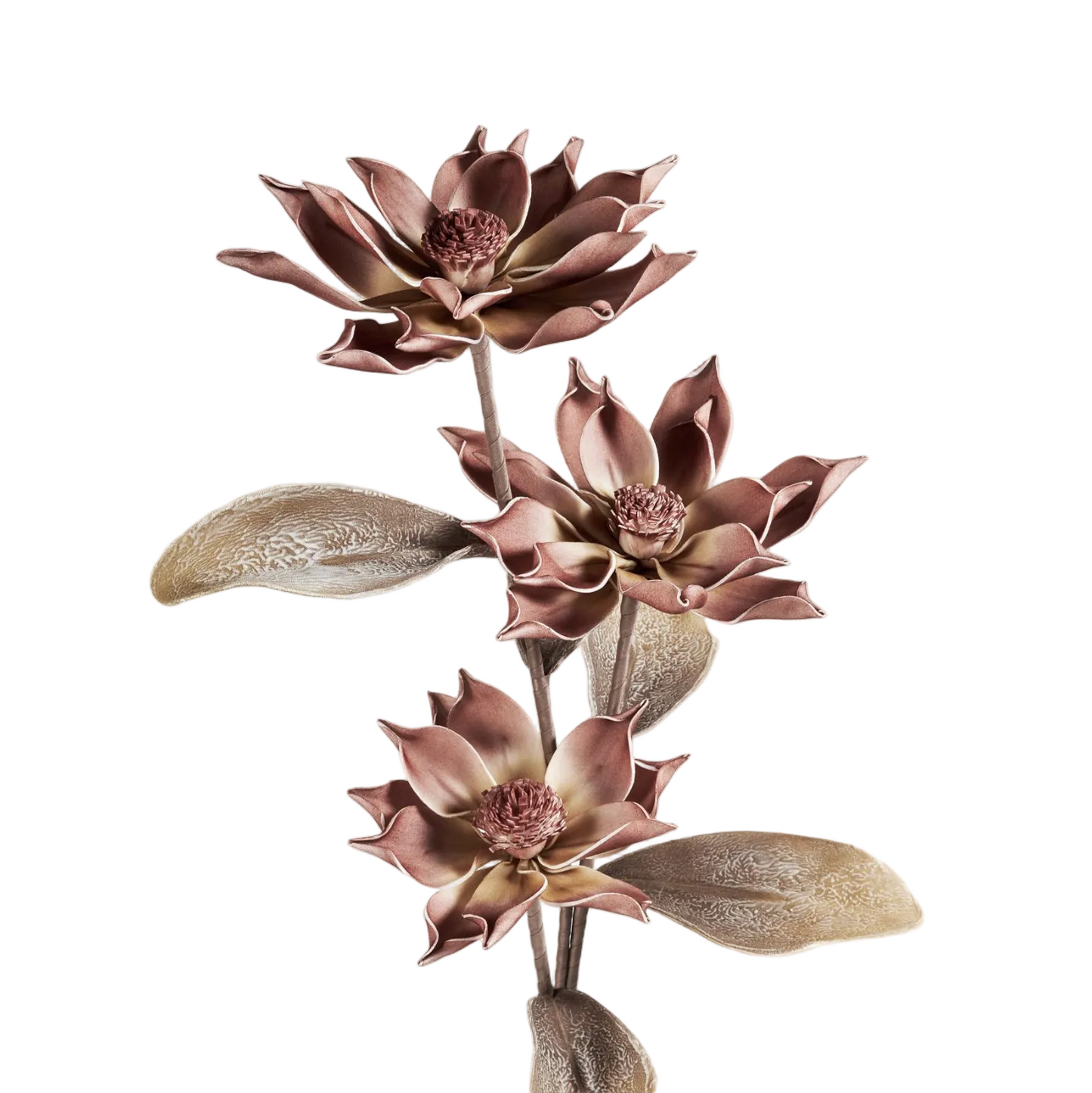 FLORAL STEM - MAGNOLIA, BROWN