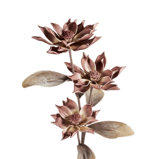 FLORAL STEM - MAGNOLIA, BROWN