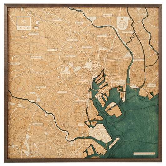 MAP, FRAMED - TOKYO (L)