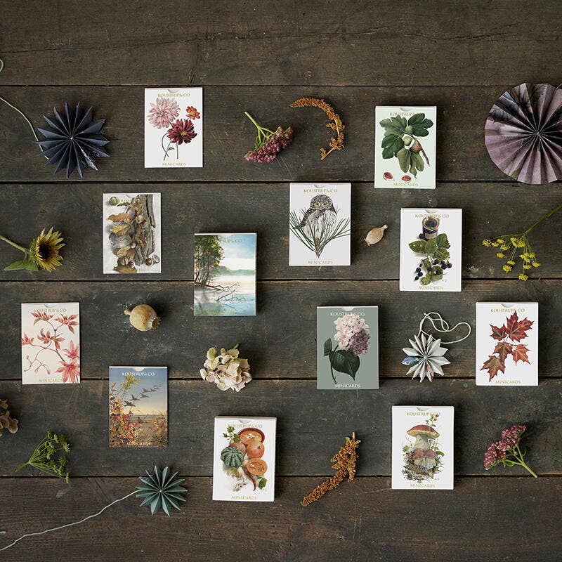 MINICARDS - AUTUMN HYDRANGEA