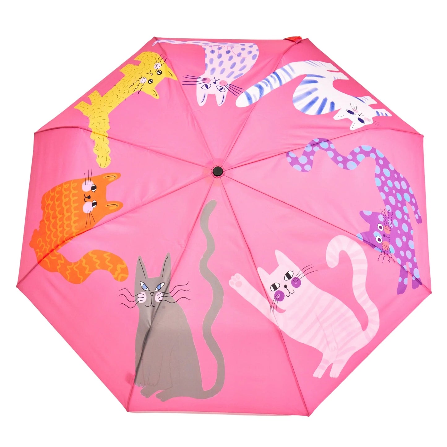 DUCKHEAD UMBRELLA, PINK - CATS